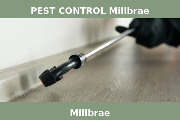 PEST CONTROL Millbrae